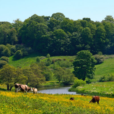 Take a Dip: Swimming Hole Memories